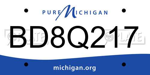 BD8Q217 Michigan License Plate