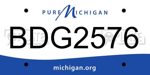 BDG2576 Michigan License Plate