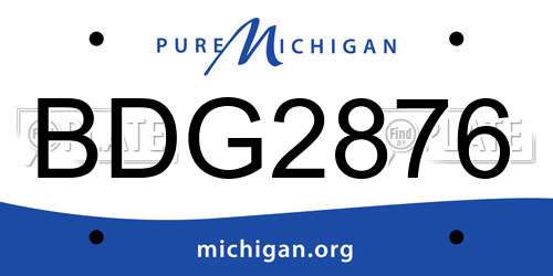 BDG2876 Michigan License Plate
