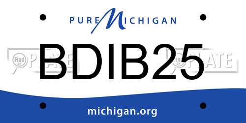 BDIB25 Michigan License Plate