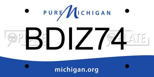 BDIZ74 Michigan License Plate