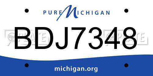 BDJ7348 Michigan License Plate