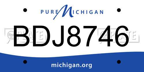 BDJ8746 Michigan License Plate