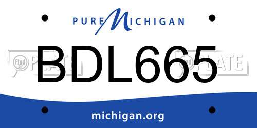BDL665 Michigan License Plate