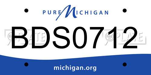 BDS0712 Michigan License Plate