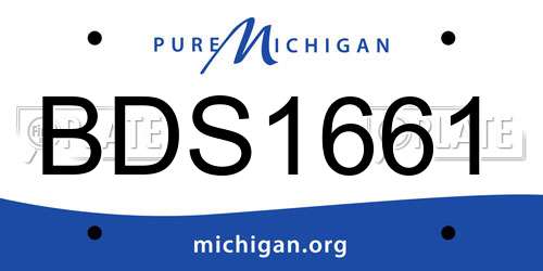 BDS1661 Michigan License Plate