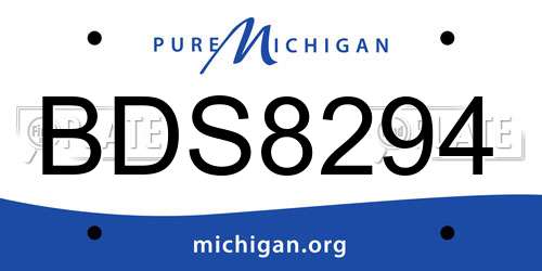 BDS8294 Michigan License Plate