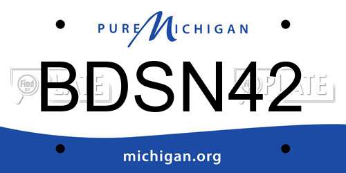 BDSN42 Michigan License Plate