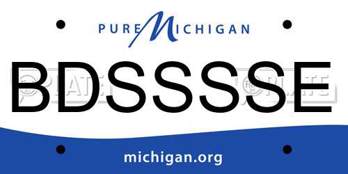 BDSSSSE Michigan License Plate
