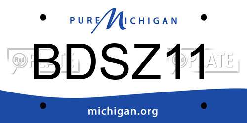 BDSZ11 Michigan License Plate