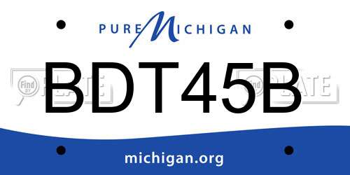 BDT45B Michigan License Plate