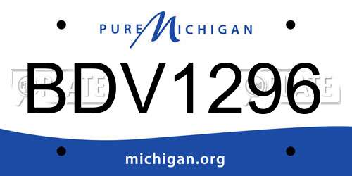 BDV1296 Michigan License Plate