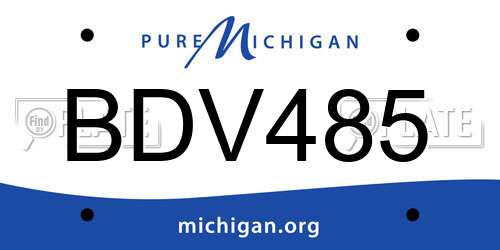 BDV485 Michigan License Plate