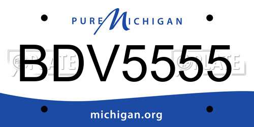 BDV5555 Michigan License Plate