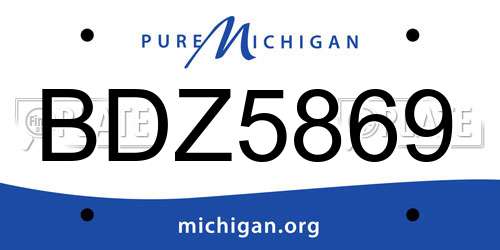 BDZ5869 Michigan License Plate