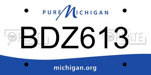 BDZ613 Michigan License Plate