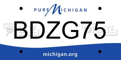 BDZG75 Michigan License Plate