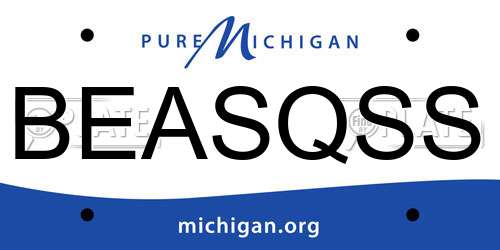 BEASQSS Michigan License Plate