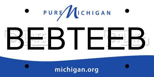 BEBTEEB Michigan License Plate