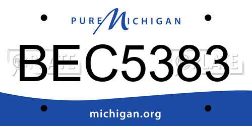BEC5383 Michigan License Plate