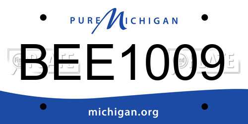 BEE1009 Michigan License Plate