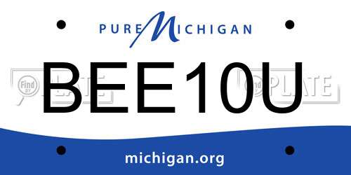 BEE10U Michigan License Plate