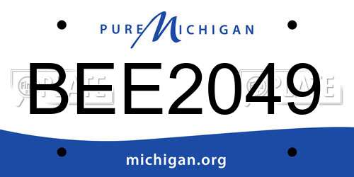 BEE2049 Michigan License Plate