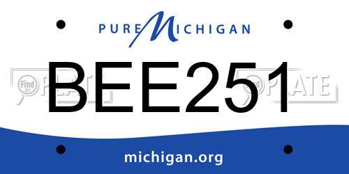 BEE251 Michigan License Plate