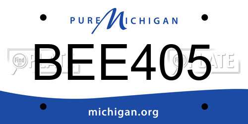 BEE405 Michigan License Plate