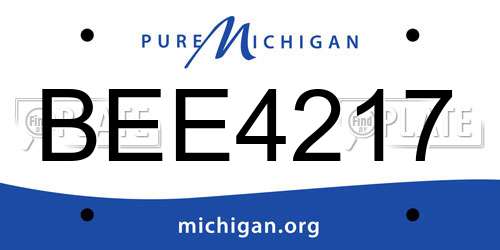 BEE4217 Michigan License Plate