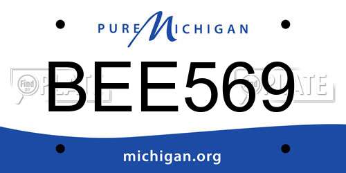 BEE569 Michigan License Plate