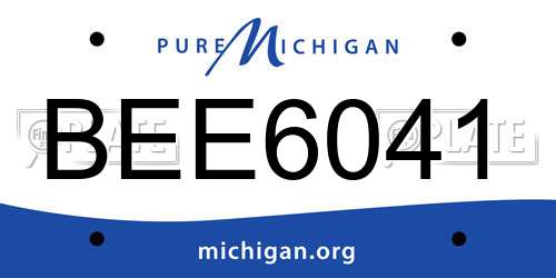 BEE6041 Michigan License Plate