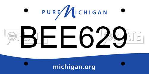BEE629 Michigan License Plate