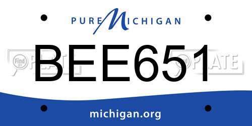 BEE651 Michigan License Plate