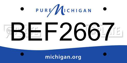 BEF2667 Michigan License Plate
