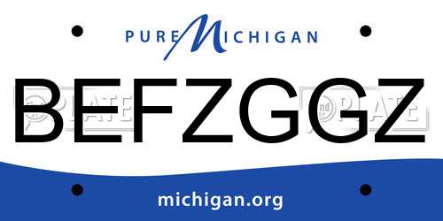 BEFZGGZ Michigan License Plate