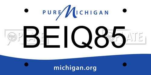 BEIQ85 Michigan License Plate
