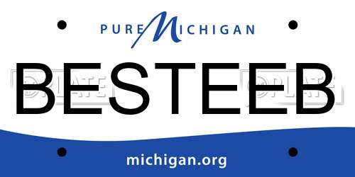 BESTEEB Michigan License Plate