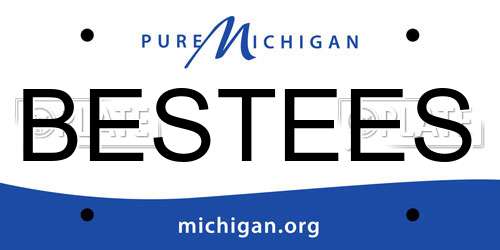 BESTEES Michigan License Plate