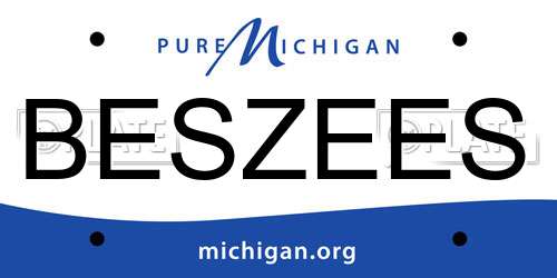 BESZEES Michigan License Plate