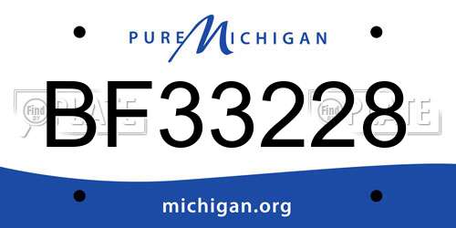 BF33228 Michigan License Plate