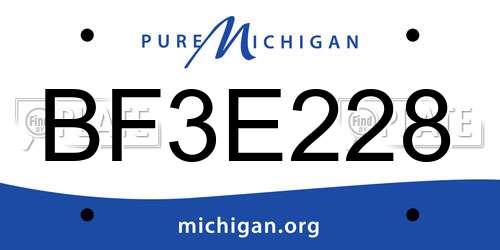BF3E228 Michigan License Plate