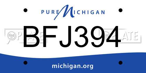 BFJ394 Michigan License Plate