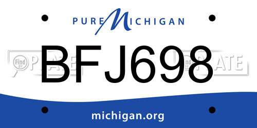 BFJ698 Michigan License Plate