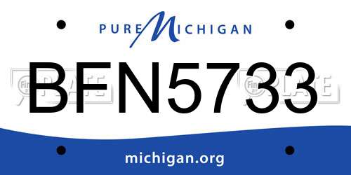 BFN5733 Michigan License Plate
