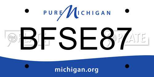 BFSE87 Michigan License Plate