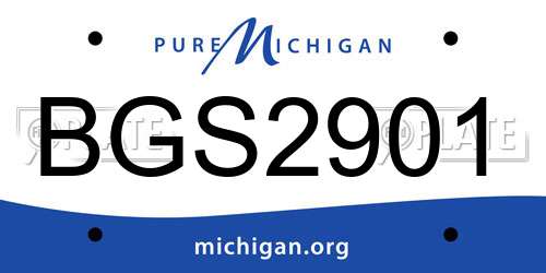 BGS2901 Michigan License Plate