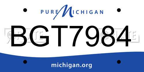 BGT7984 Michigan License Plate