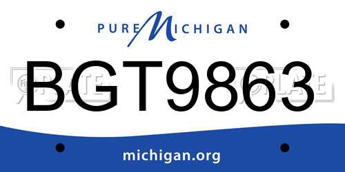 BGT9863 Michigan License Plate