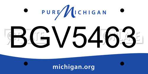 BGV5463 Michigan License Plate